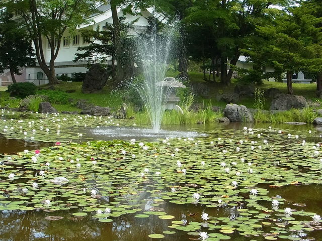 �k�C���썑�_��