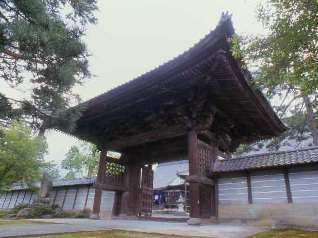 �{�R�@�|�����̎ʐ^1