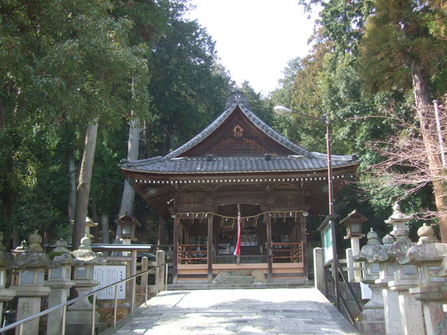 �����_��