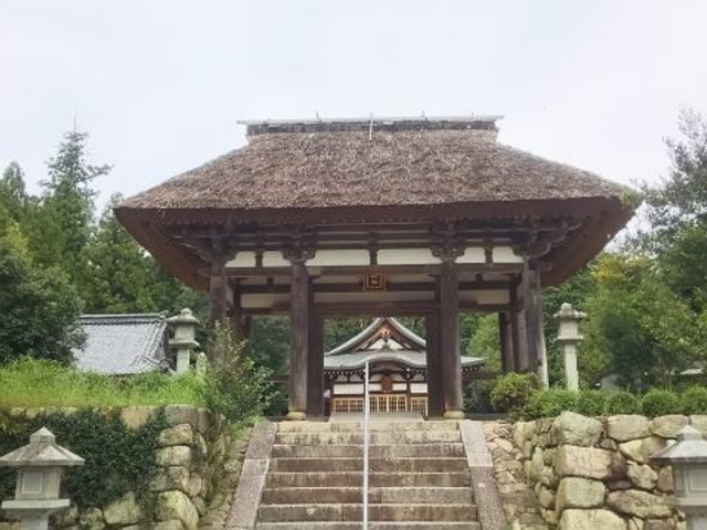 ���_�Ђ̎ʐ^1