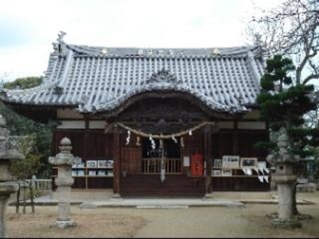 �D�z�����{�̎ʐ^1