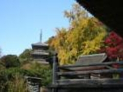 安来　清水寺の写真1