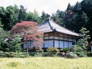 �y�_���̎ʐ^1