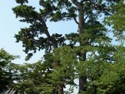 �ƌ����̎ʐ^3