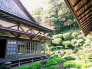 �����̎ʐ^2