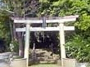 �i���Éh�_�Ђ̎ʐ^2