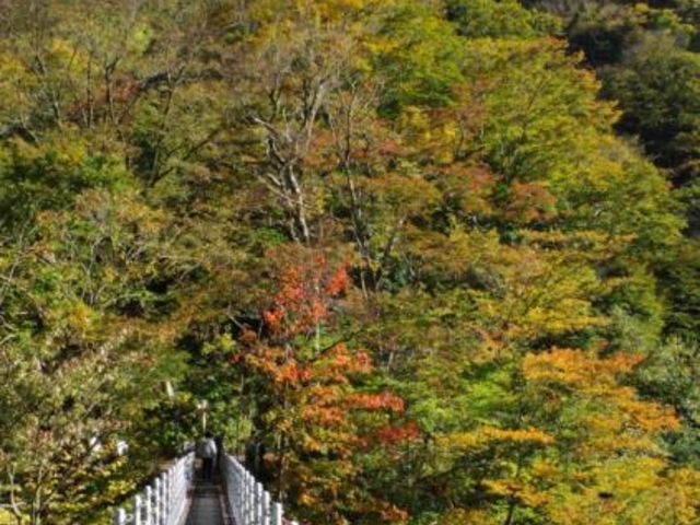 大山滝吊り橋】アクセス・営業時間・料金情報 - じゃらんnet