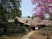 ���C�����y�����ٍ��ƏZ��̎ʐ^1