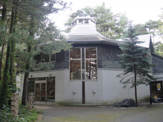 �O�Y���q�L�O���w��