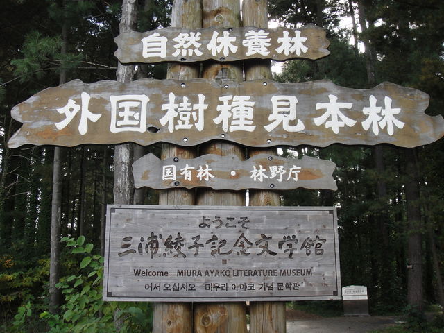 �O�Y���q�L�O���w��