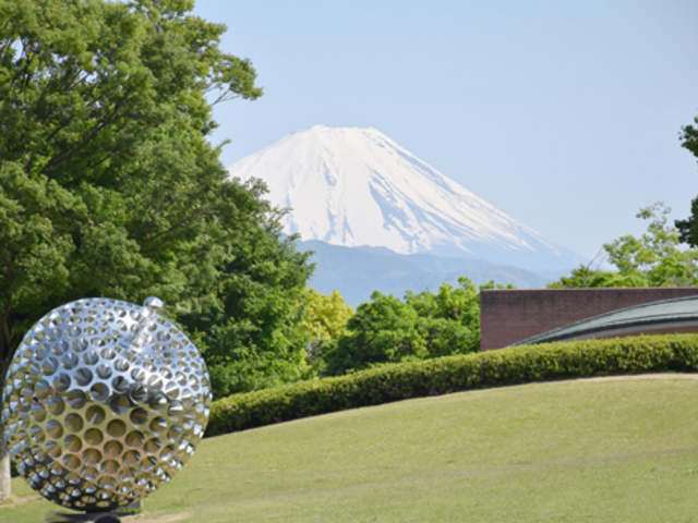 �R���������w��