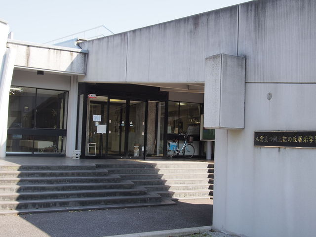 ���_�����y�L�̋u�W���w�K��