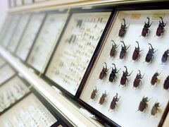 ����e�̐X���� �����ق̎ʐ^1