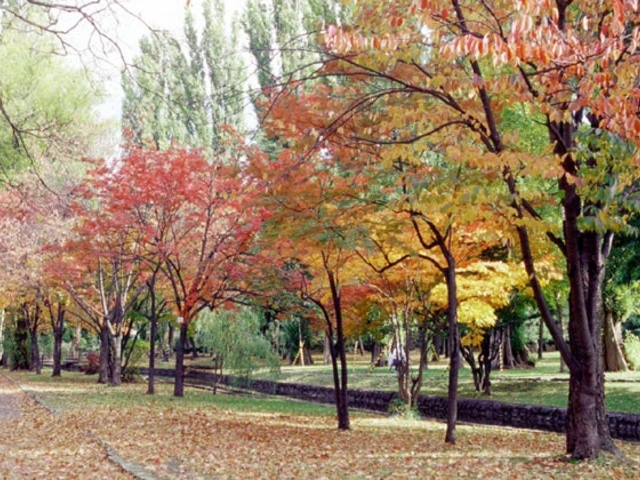 ��֌���_��֌���