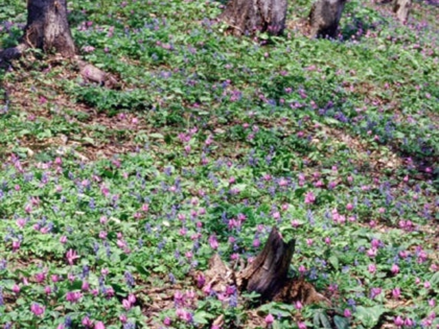 �j�R���R����_�j�R���R����