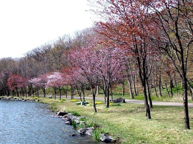 �΃��u����