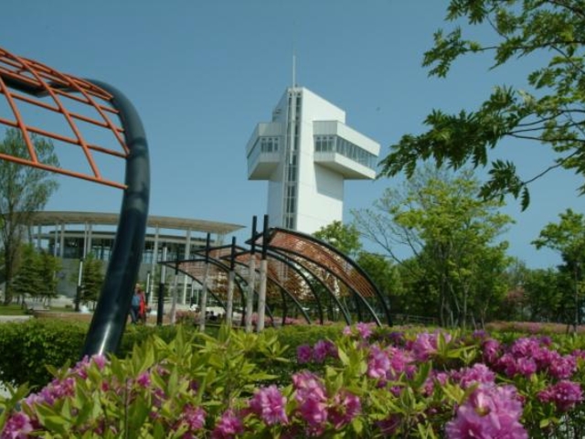 �΃��u����