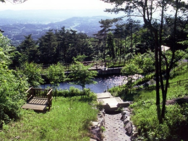 ��P�X�X�ь����̎ʐ^1