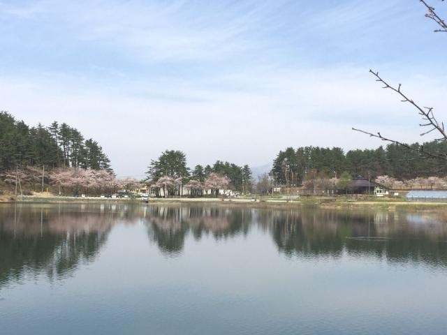 ��������̎ʐ^1