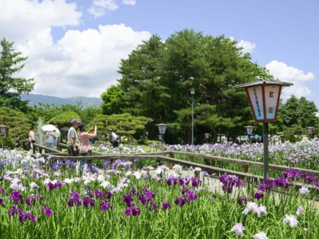 ����ߌ���_����ߌ���