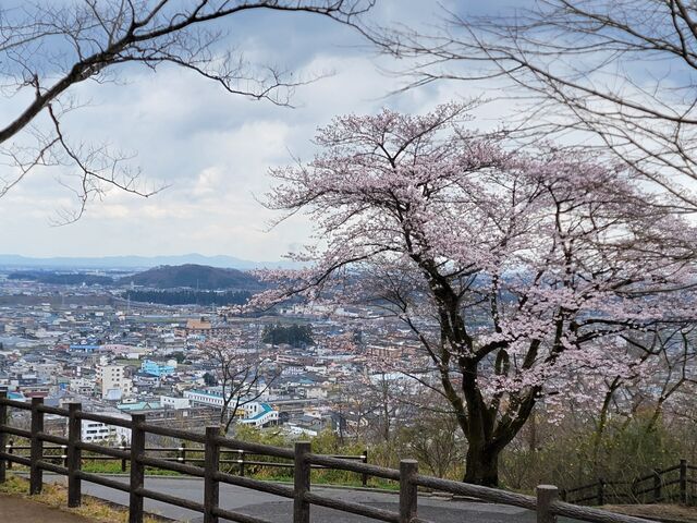 �x�m�R�����̎ʐ^1