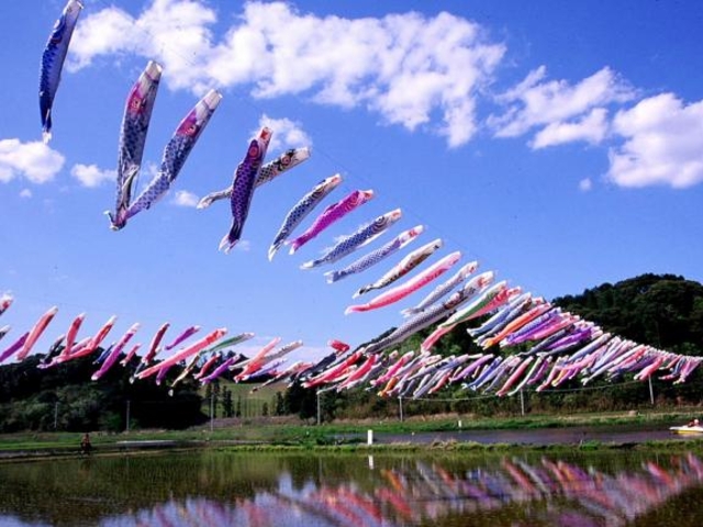 �k�ӂꂠ�������̎ʐ^1