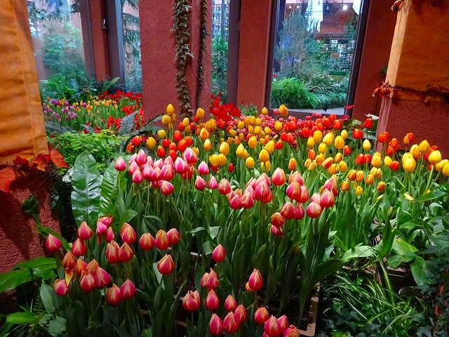 �p���b�g�K�[�f���̃`���[���b�v����_�`���[���b�v�l�G�ʊ�