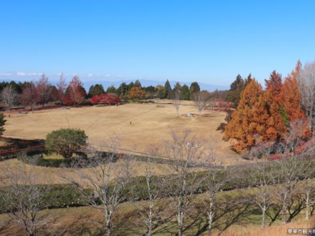 ���Y���[�t�̐X_������Y���[�t�̐X