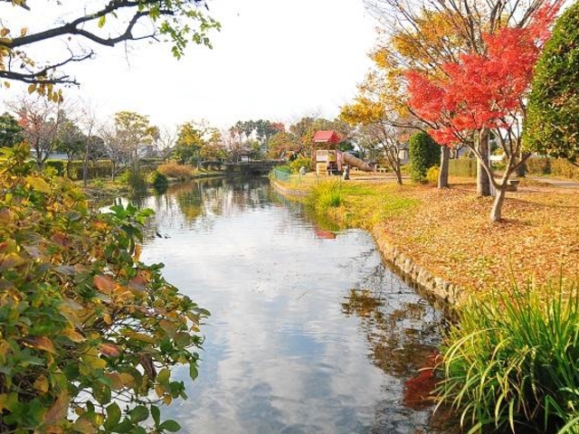 ひょこたん池公園