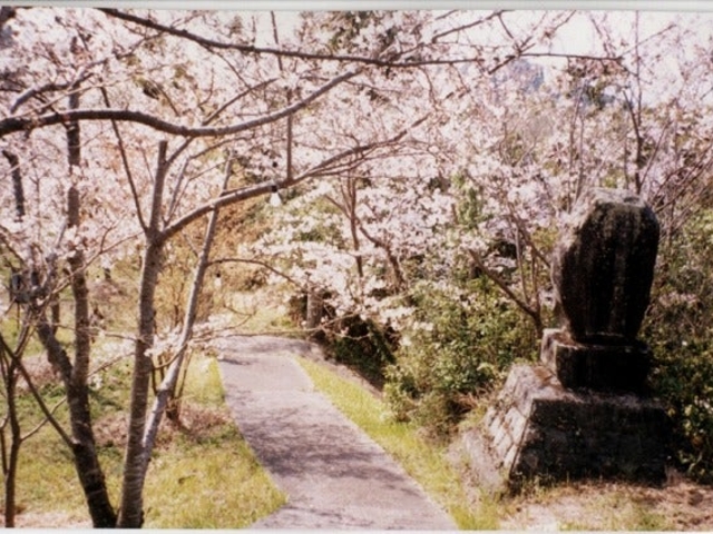 �ۘa���E�Ԍ���