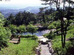 ��P�X�X�ь����̎ʐ^1