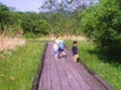 �����A�����i�݂��̂��������A���̂Ђ�΃]�[���j�̎ʐ^1