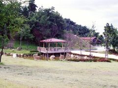 �Ԃ̓������̎ʐ^1