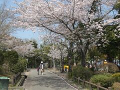 ���u��n�����̎ʐ^1