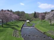 ���������̎ʐ^1