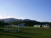 �s�^�������̎ʐ^1