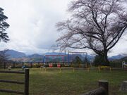 �x�m�R�����̎ʐ^2