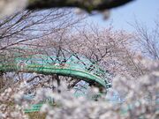 ����̏�R�����̎ʐ^2