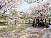 ���R�J�R���R�����̎ʐ^1