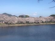 �������R�����̎ʐ^1