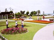 ���R�������̍L��̎ʐ^1