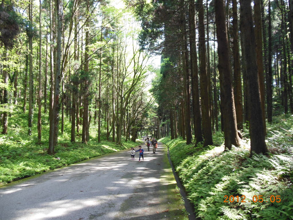 昭和の森 千葉市観光協会公式サイト 千葉市観光ガイド