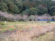 谷川ホタル公園の写真3