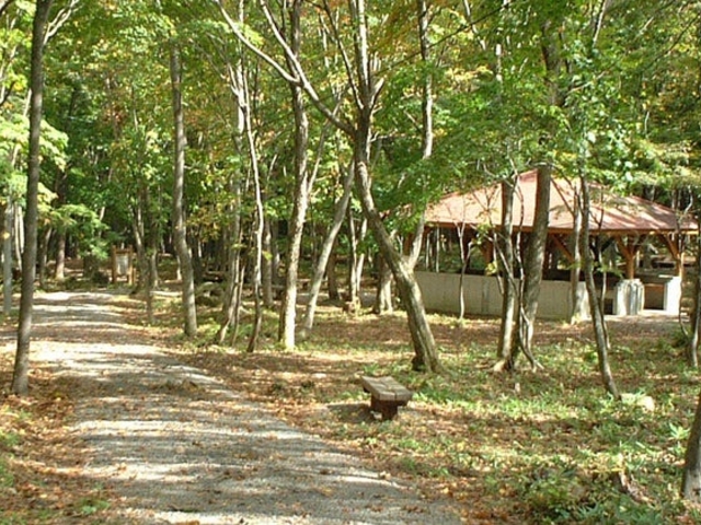 ��茧�����̐X�L�����v��̎ʐ^1