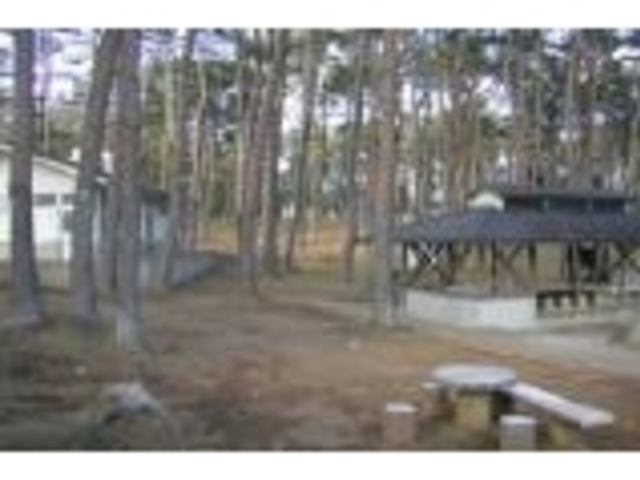 ����c��i�L�����v��j�̎ʐ^1