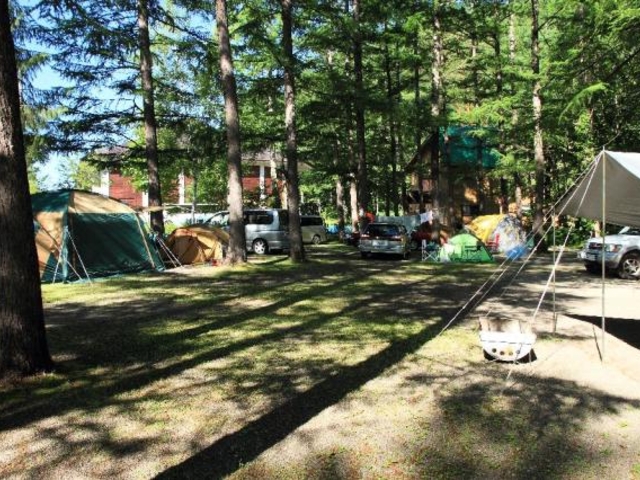 ���ʂ�I�[�g�L�����v��̎ʐ^1