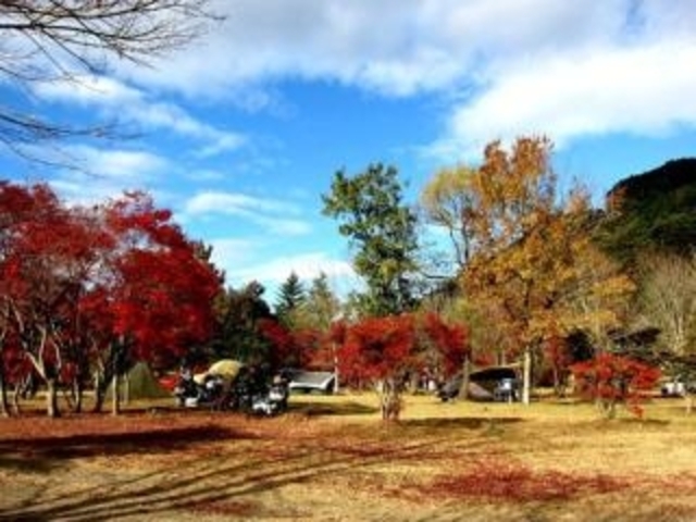 ���É��L�����v��̎ʐ^1