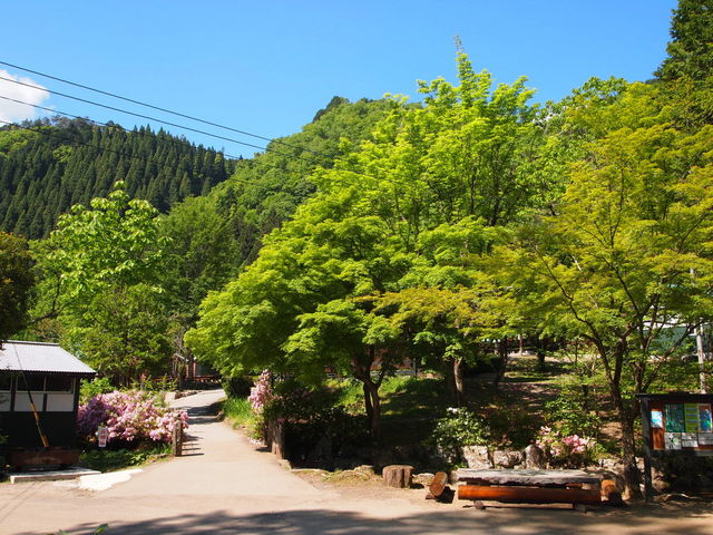 �S�㔪�����R��