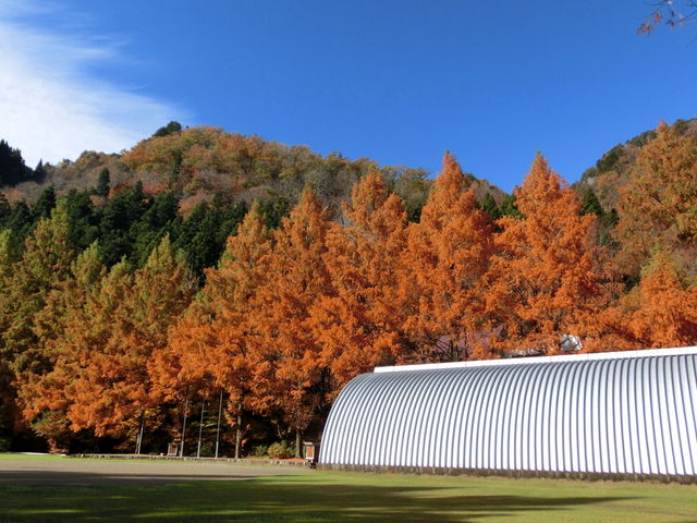 �S�㔪�����R��