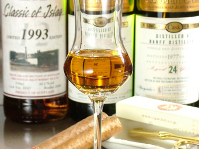 Gold Fish S[h tBbV̎ʐ^1